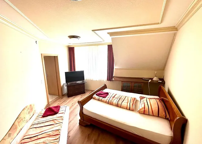 Hattyu Belvarosi Vendeghaz 2 *